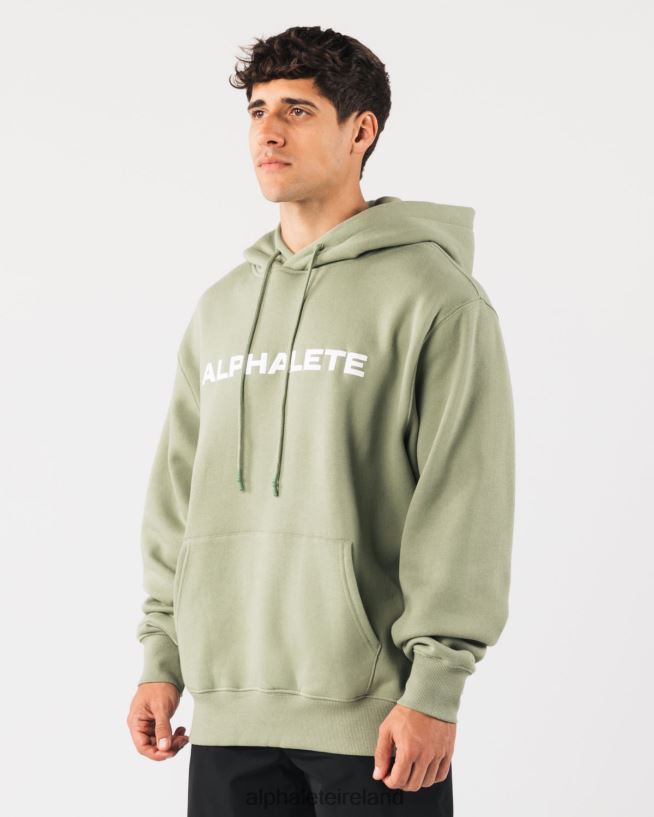 Clothing IE Alphalete Men Core Hoodie Sage Green 2L4400626