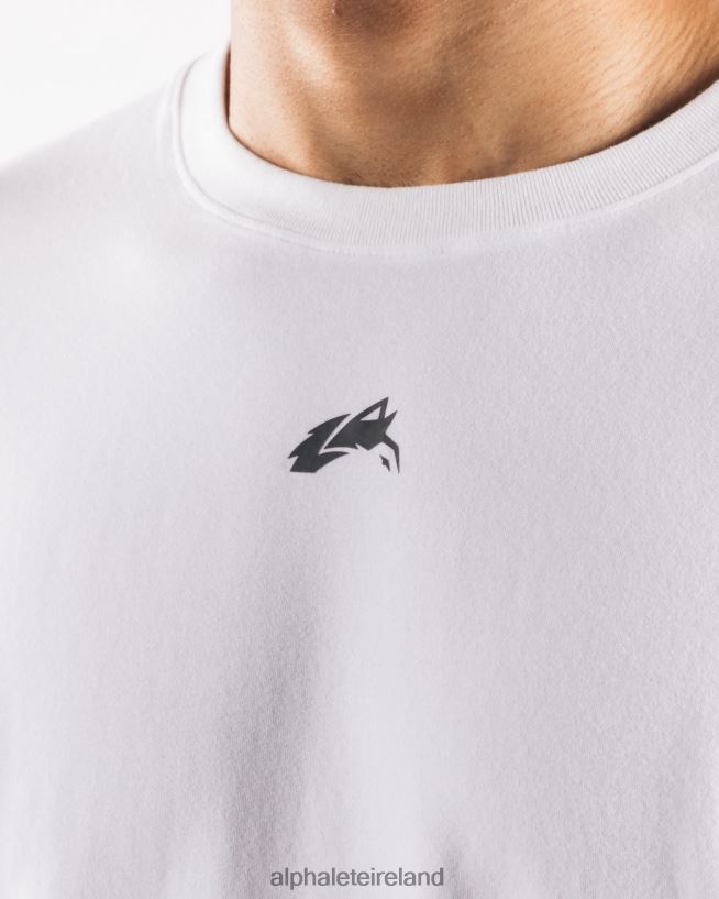 Clothing IE Alphalete Men Aligned Tee White/Pewter 2L4400490