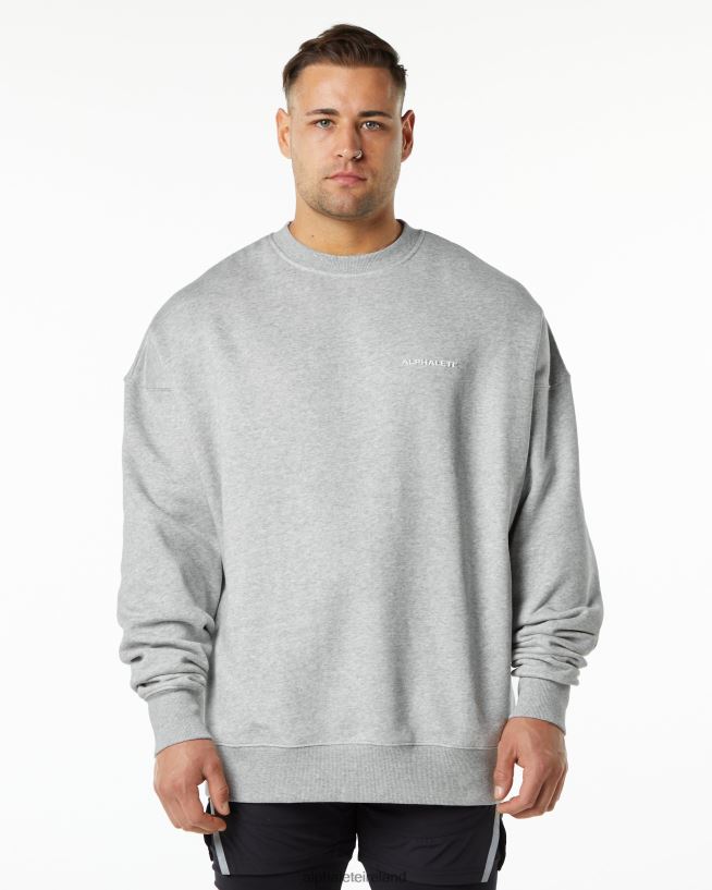 Clothing IE Alphalete Men Classic Crew Heather Grey 2L4400648
