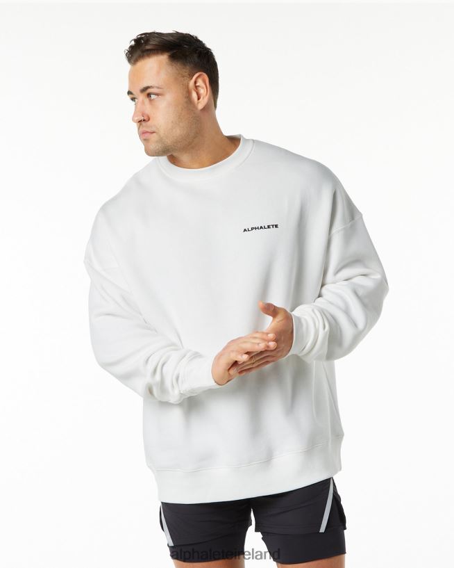 Clothing IE Alphalete Men Classic Crew White 2L4400647