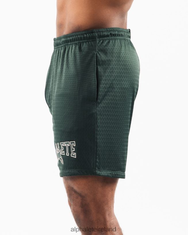 Clothing IE Alphalete Men Wolf Head Mesh Short 6