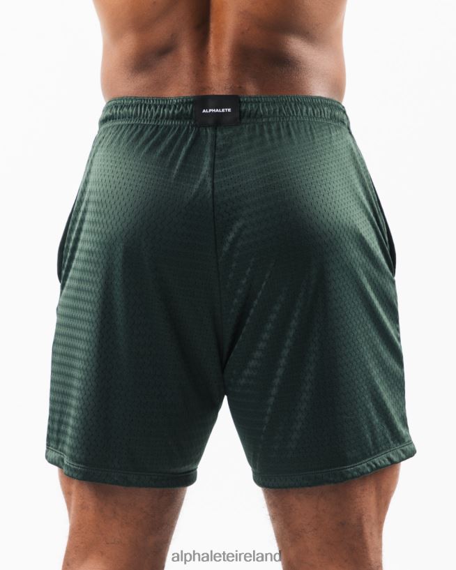 Clothing IE Alphalete Men Wolf Head Mesh Short 6
