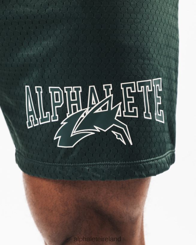 Clothing IE Alphalete Men Wolf Head Mesh Short 6