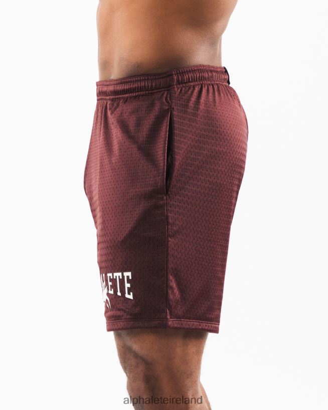 Clothing IE Alphalete Men Wolf Head Mesh Short 6