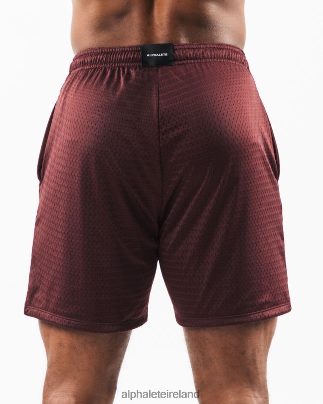 Clothing IE Alphalete Men Wolf Head Mesh Short 6