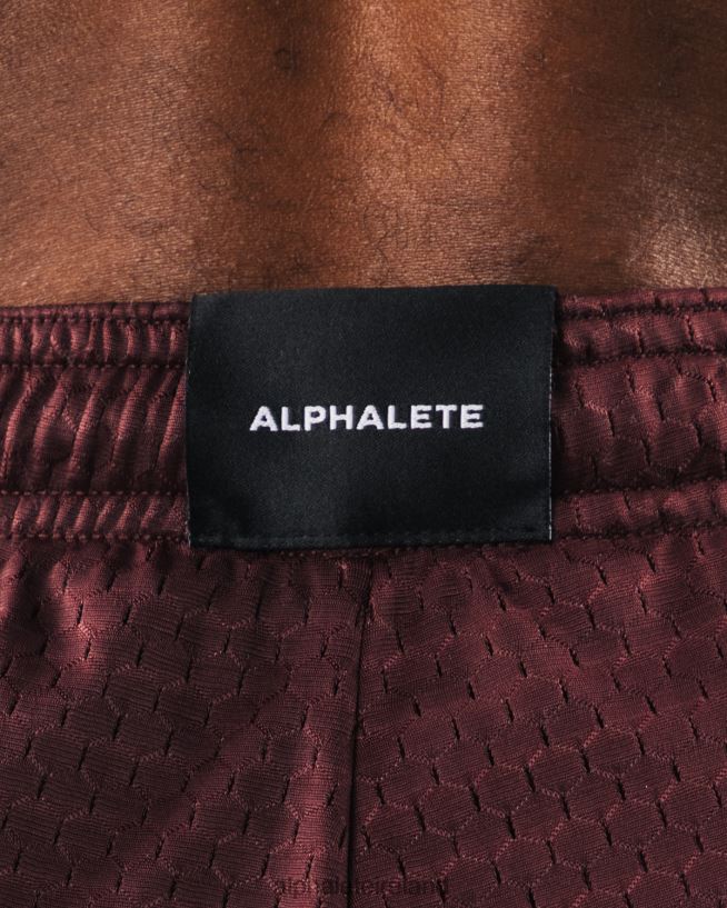 Clothing IE Alphalete Men Wolf Head Mesh Short 6