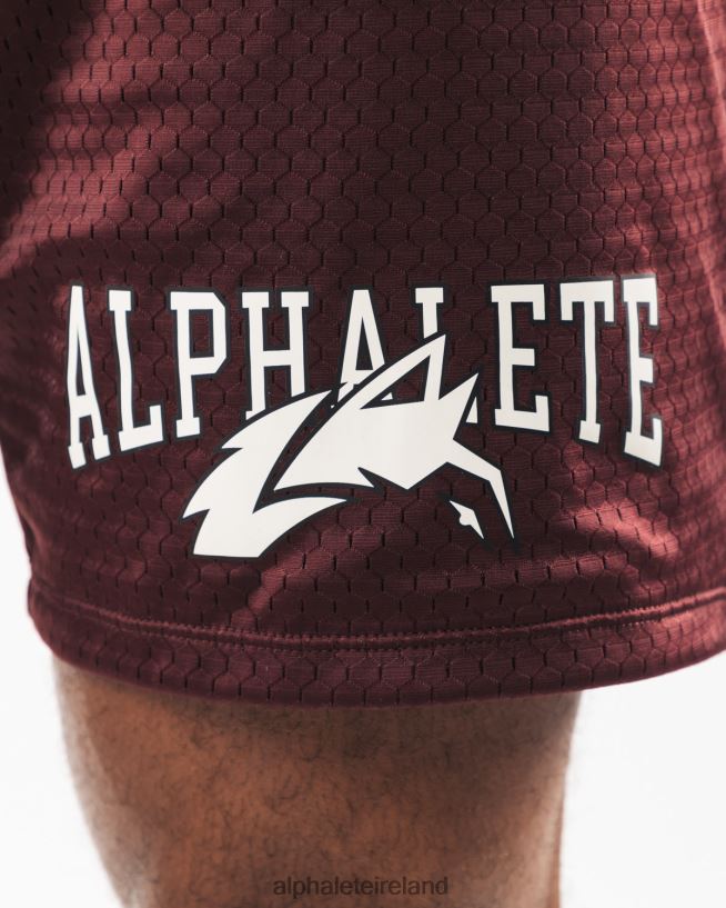 Clothing IE Alphalete Men Wolf Head Mesh Short 6