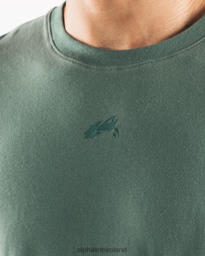 Clothing IE Alphalete Men Aligned Tee Sage Green 2L4400499