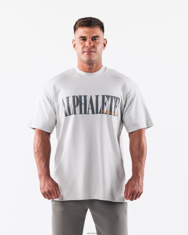 Clothing IE Alphalete Men Republic Tee Serena Grey 2L4400491