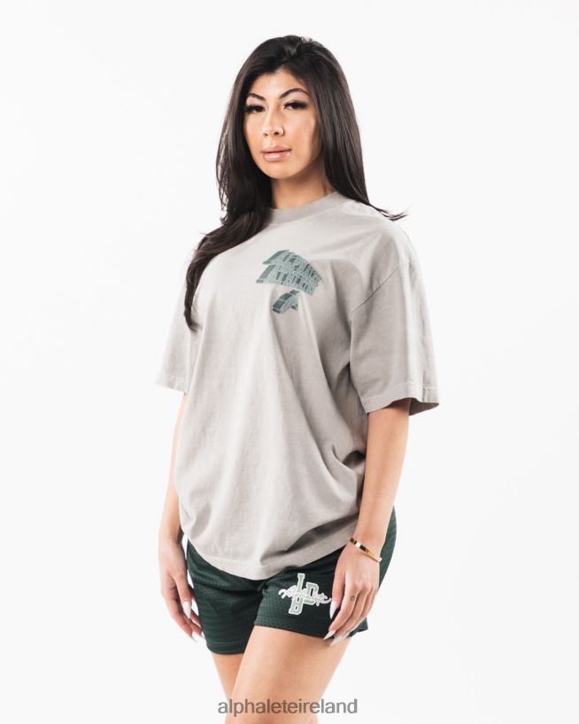 Clothing IE Alphalete Unisex Dimensional Tee Dark Silver Grey 2L4400545