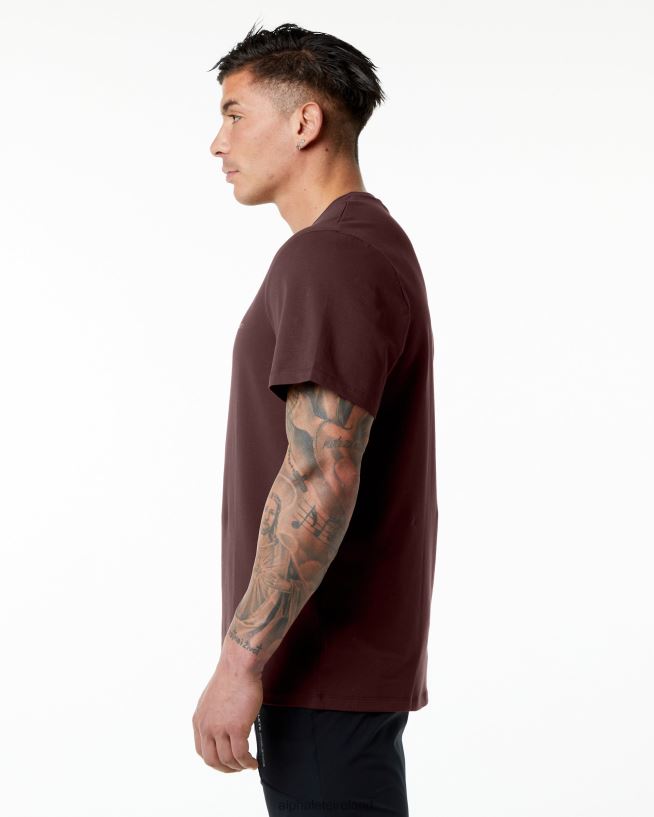 Clothing IE Alphalete Men Classic Tee Burgundy Red 2L4400554
