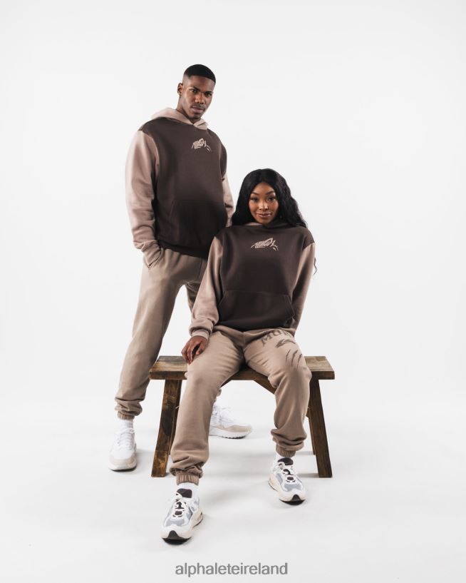 Clothing IE Alphalete Unisex Stencil Hoodie Cashmere Brown 2L4400271