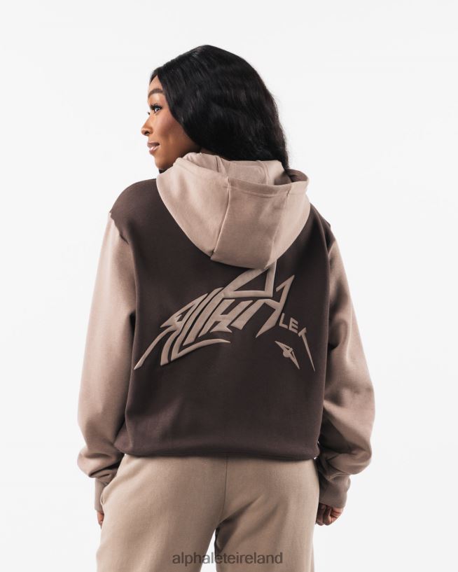 Clothing IE Alphalete Unisex Stencil Hoodie Cashmere Brown 2L4400271