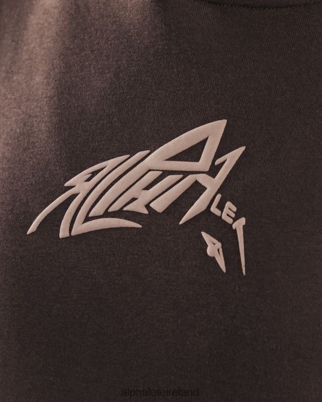 Clothing IE Alphalete Unisex Stencil Hoodie Cashmere Brown 2L4400271