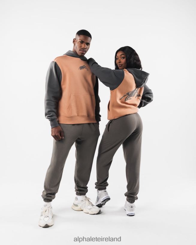 Clothing IE Alphalete Unisex Stencil Hoodie Clay Brown 2L4400270