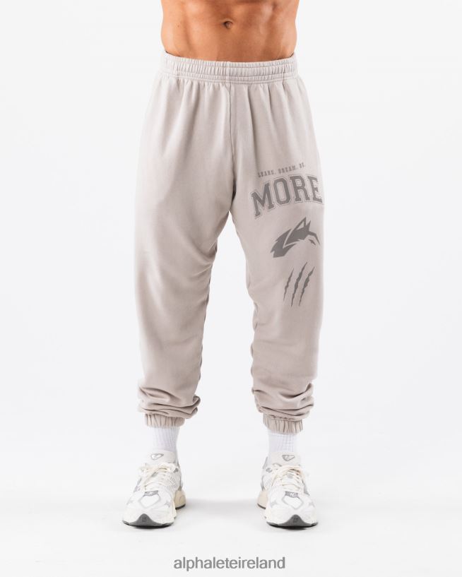Clothing IE Alphalete Unisex Earth Dye Graphic Jogger Silver Grey 2L4400455
