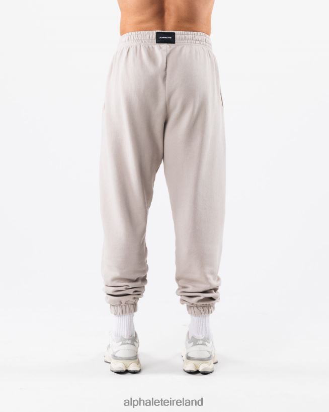 Clothing IE Alphalete Unisex Earth Dye Graphic Jogger Silver Grey 2L4400455