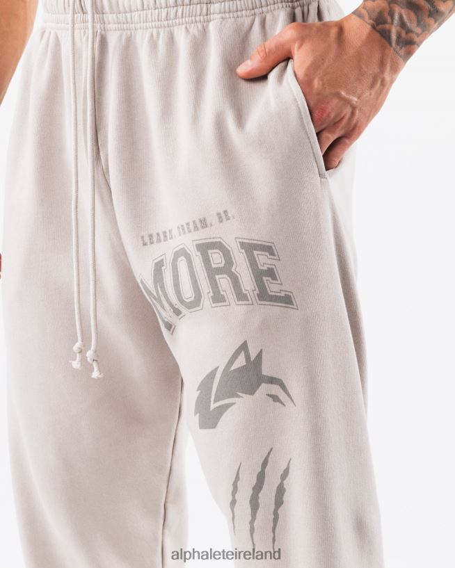 Clothing IE Alphalete Unisex Earth Dye Graphic Jogger Silver Grey 2L4400455