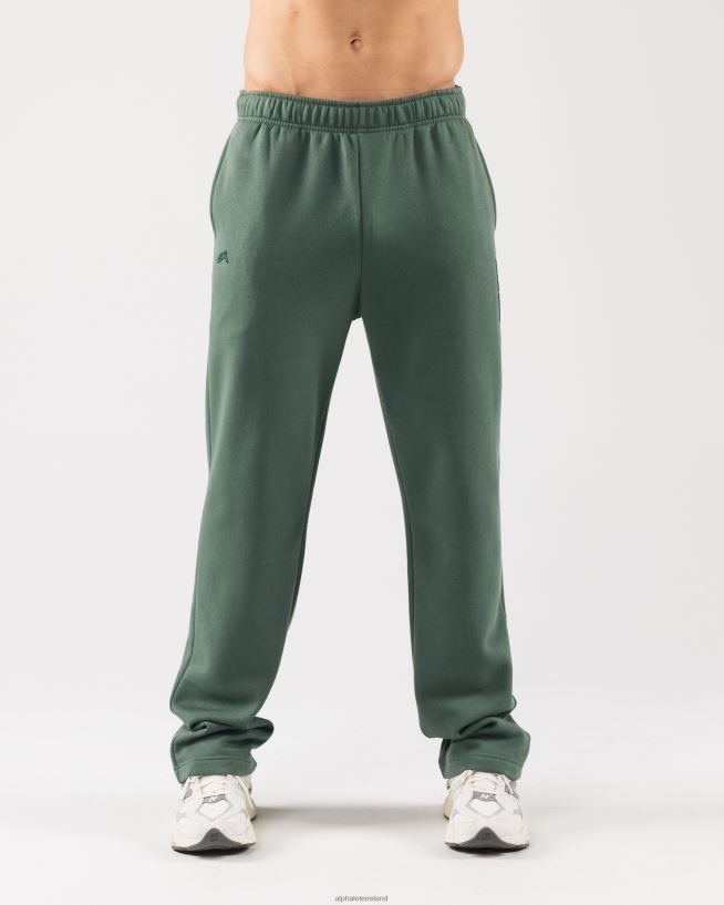 Clothing IE Alphalete Unisex Origin Pant Serene Green 2L4400452