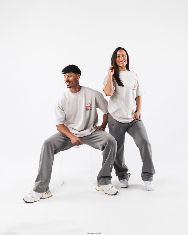 Clothing IE Alphalete Unisex Crest Tee Cement Grey 2L4400177