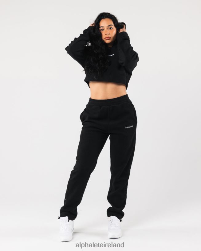 Clothing IE Alphalete Women King Crop Hoodie Black 2L4400277