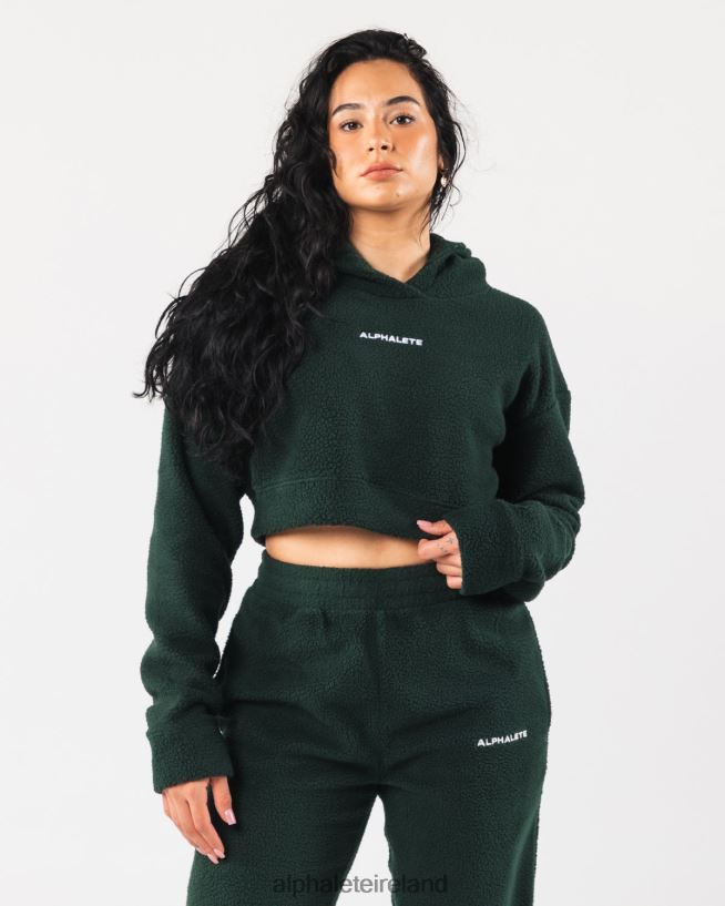 Clothing IE Alphalete Women King Crop Hoodie Evergreen Green 2L4400276