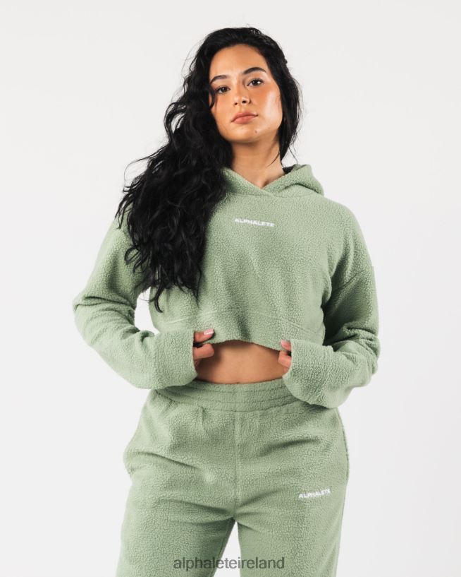 Clothing IE Alphalete Women King Crop Hoodie Sage Green 2L4400275