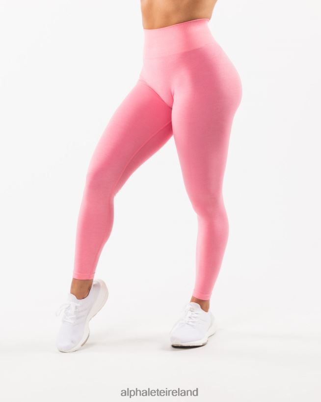 Clothing IE Alphalete Women Amplify Legging Cotton Candy Pink 2L4400409