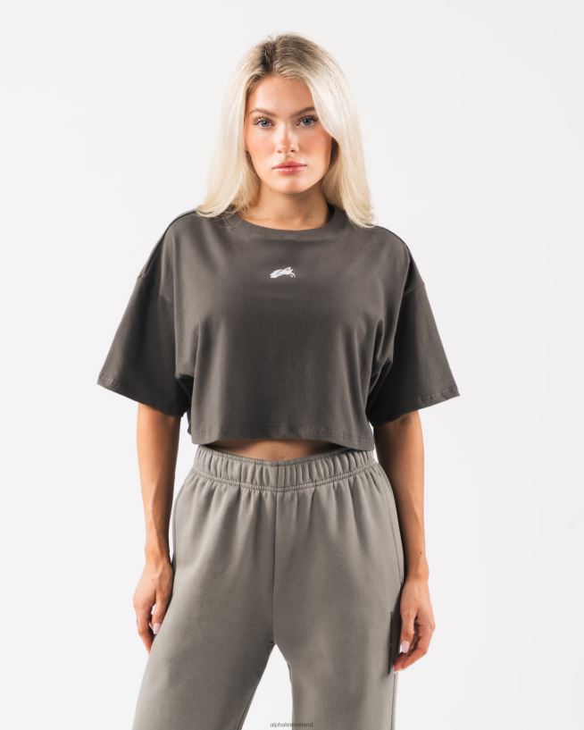 Clothing IE Alphalete Women Origin Crop Pewter Brown 2L4400191