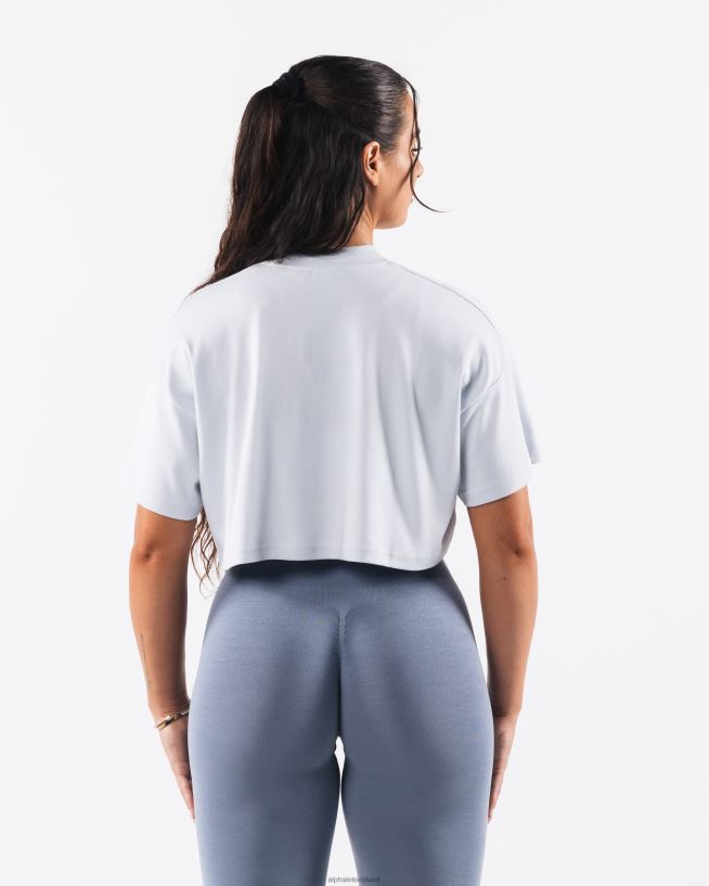 Clothing IE Alphalete Women Republic Crop Tee Halogen Blue 2L4400194